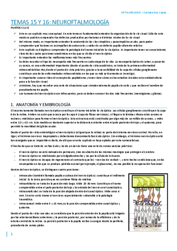 Miniatura del documento T15-y16.pdf