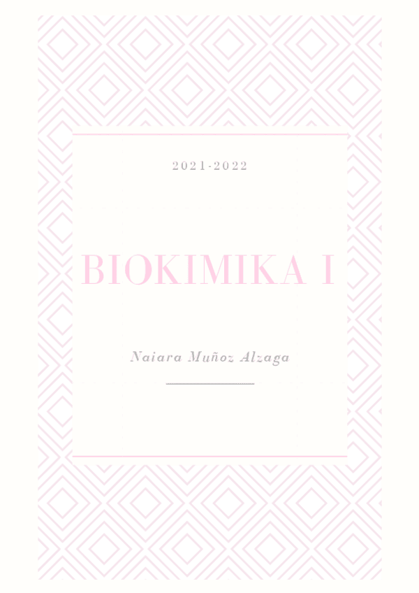 Miniatura del documento BKI-DEFINITIVO.pdf