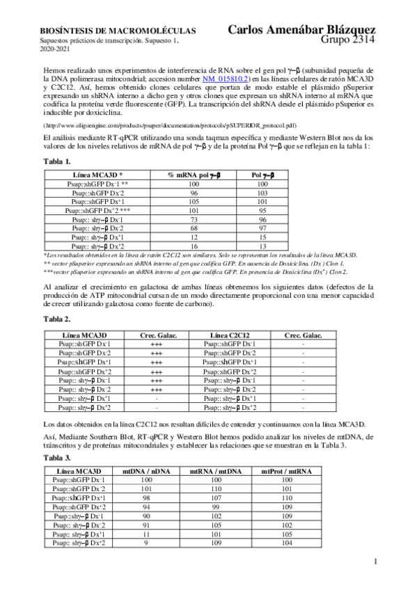 Miniatura del documento BM-BLOQUE-II-SCP2.pdf