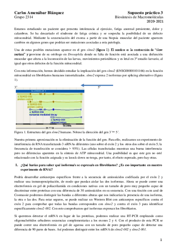 Miniatura del documento BM-BLOQUE-II-SCP3.pdf