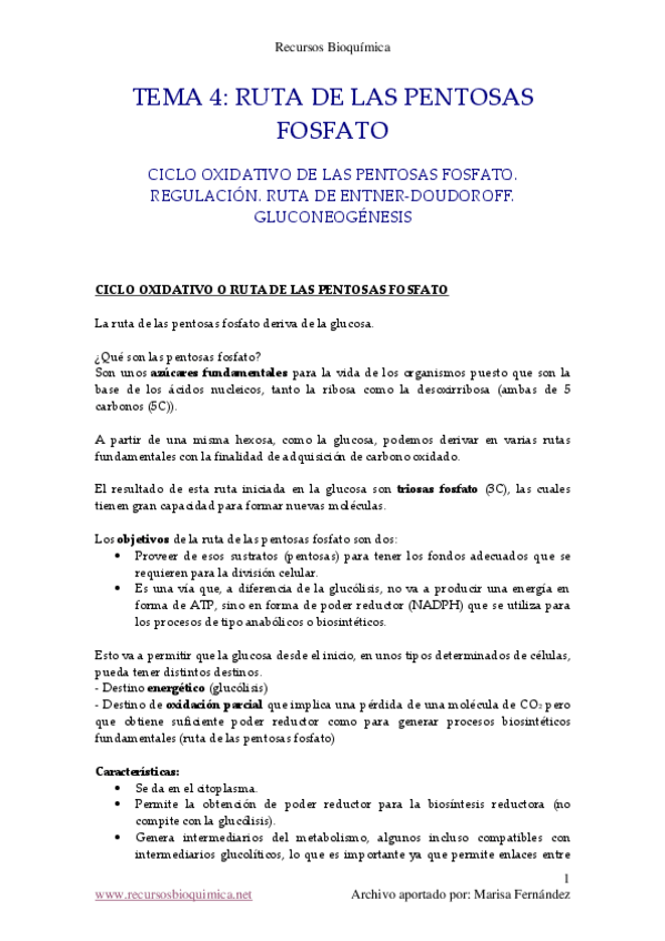 Miniatura del documento Tema 4 - Ruta de las pentosas fosfato.pdf