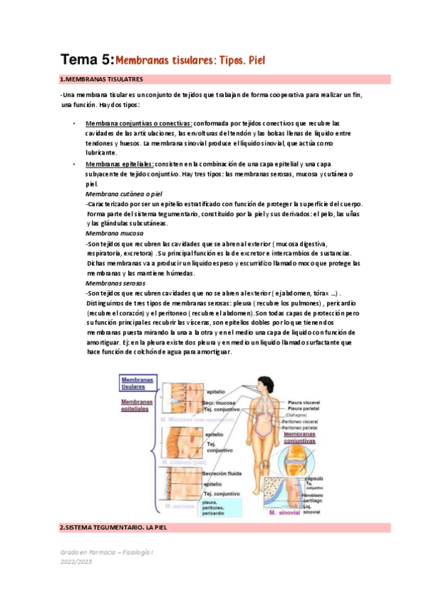 Miniatura del documento Tema-5-Membranas-tisulares.pdf