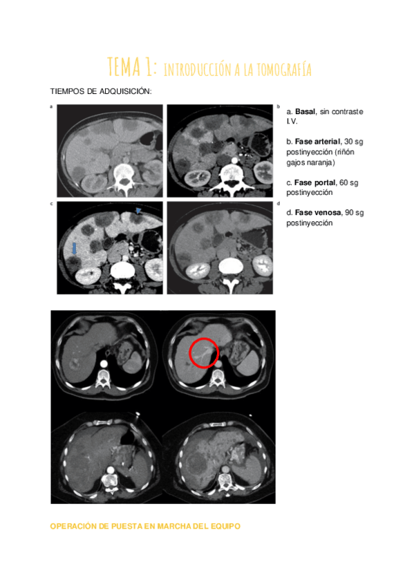 Miniatura del documento TEMA-1-2.pdf