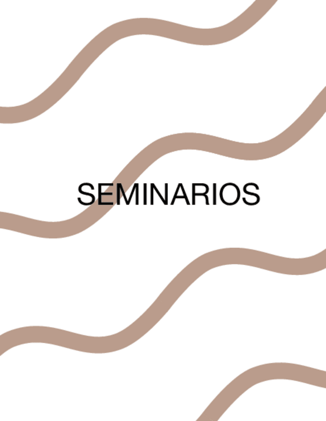Miniatura del documento Seminarios.pdf