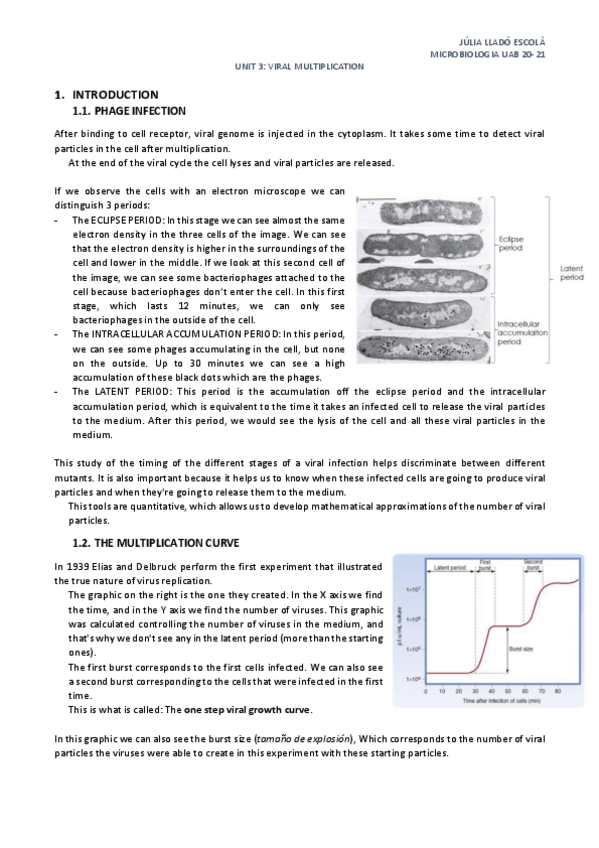 Miniatura del documento Unit-3-Viral-multiplication.pdf