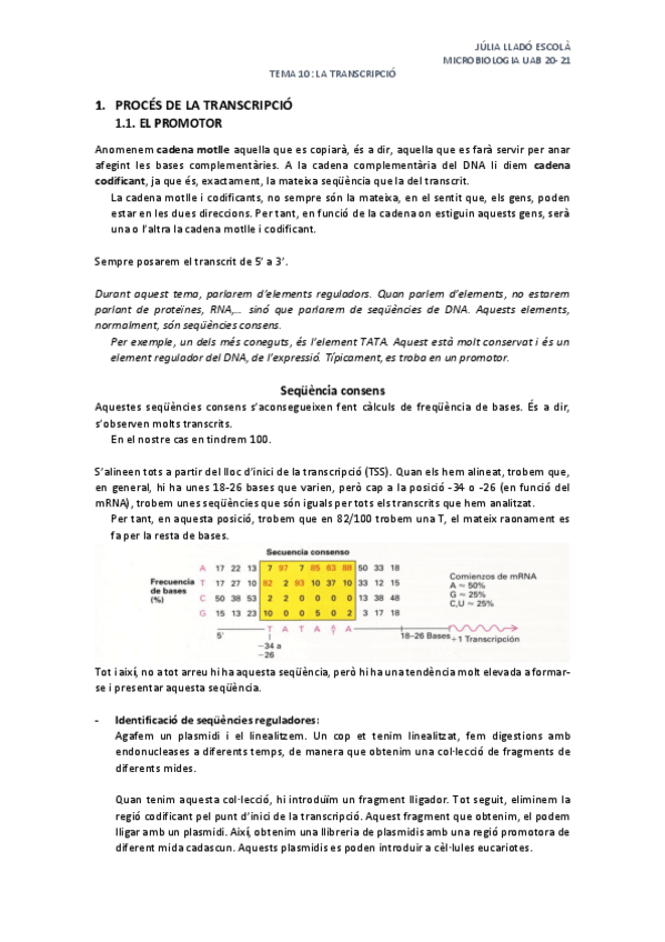 Miniatura del documento Tema-10-La-transcripcio.pdf