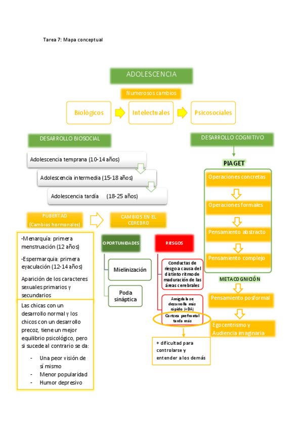 Miniatura del documento Mapa conceptual (adolescencia).pdf
