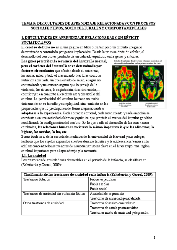 Miniatura del documento TEMA-5-EVALUACION.pdf