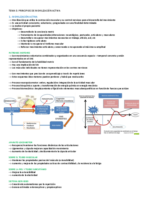 Miniatura del documento TEMA-5-CINESITERAPIA.pdf