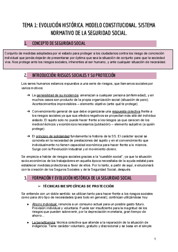 Miniatura del documento TEMA-1-DERECHO-DE-LA-PROTECCION-SOCIAL.pdf