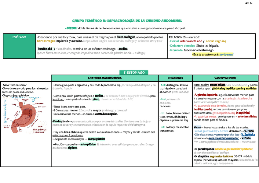 Miniatura del documento H-Esplacnologia-de-la-cavidad-abdominal-2.pdf