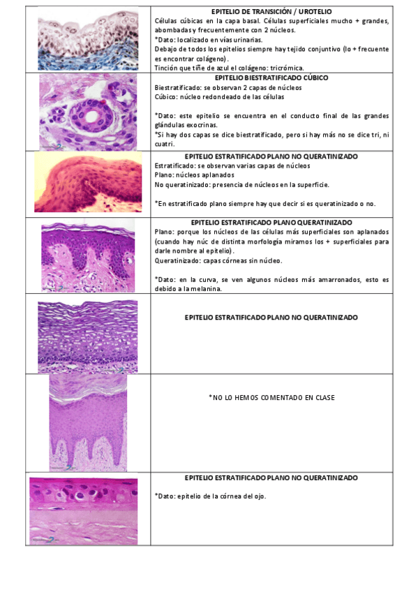 Miniatura del documento SEMINARIO-1.pdf