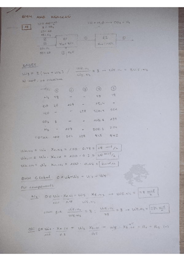 Miniatura del documento PROBLEMES-BMM-AMB-REACCIO-QUIMICA.pdf