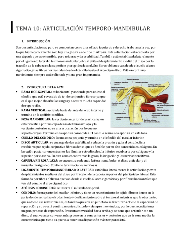 Miniatura del documento TEMA-10.pdf