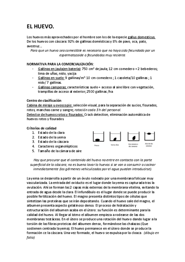 Miniatura del documento T3.pdf