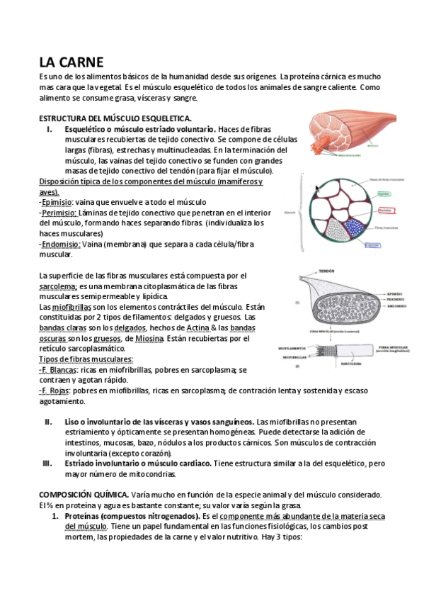 Miniatura del documento T1.pdf