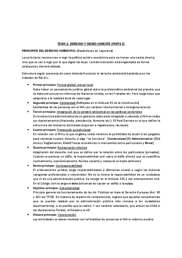 Miniatura del documento E.pdf
