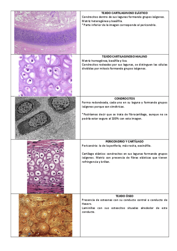 Miniatura del documento SEMINARIO-3.pdf