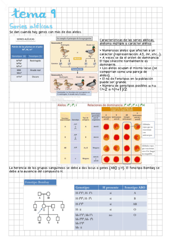 Miniatura del documento Tema-9.pdf