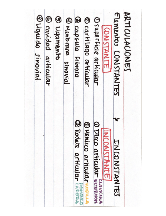 Miniatura del documento tarjetas-anatomia.pdf