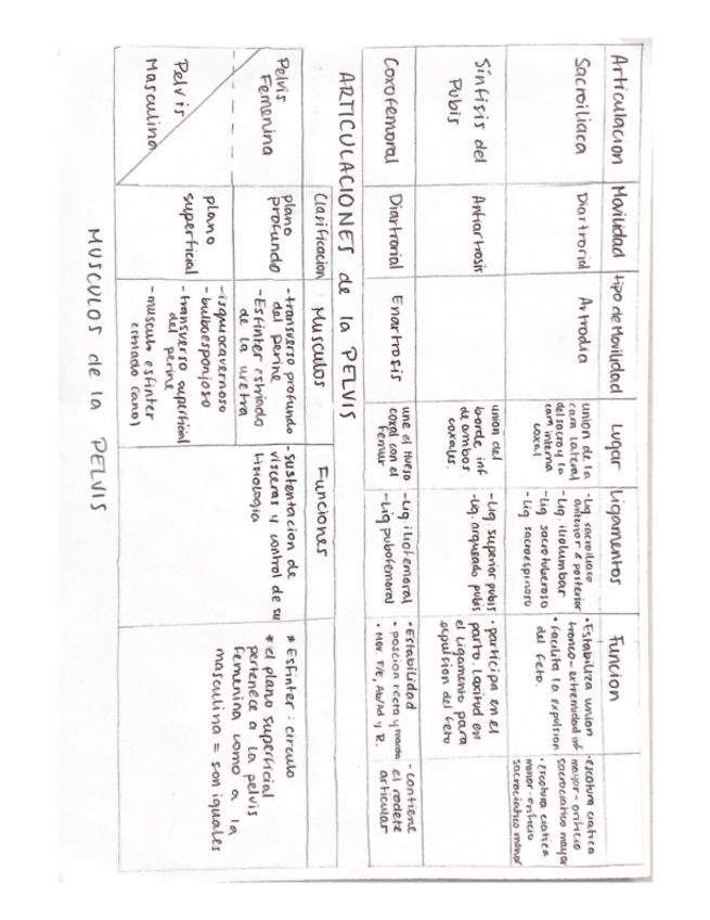 Miniatura del documento tablas-Articulaciones-y-musculos-1.pdf