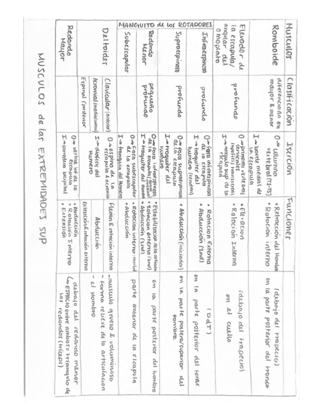 Miniatura del documento Tablas-Articulaciones-y-musculos-2.pdf