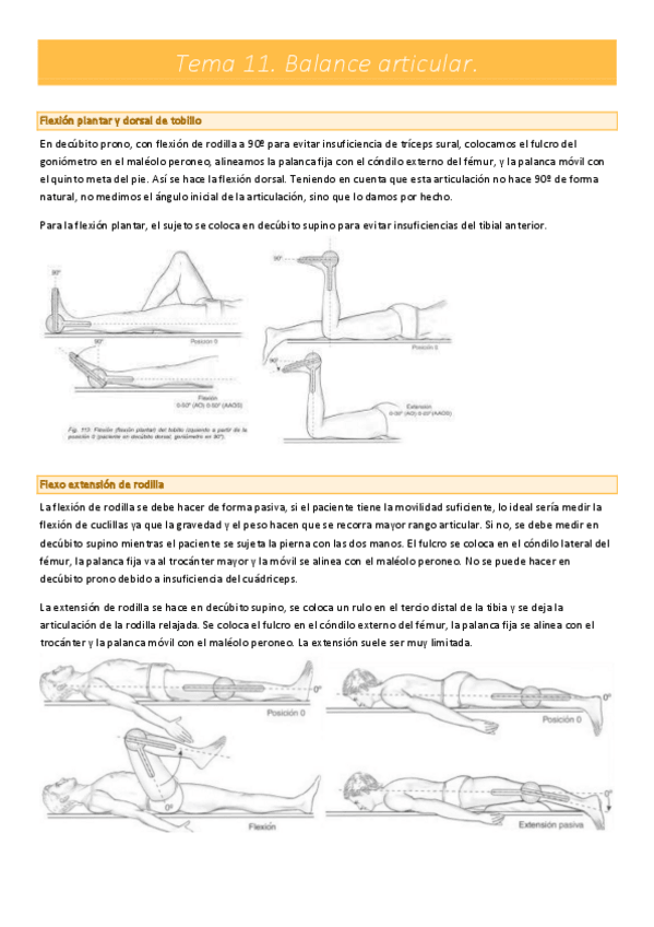 Miniatura del documento Balance-articular-completo.pdf
