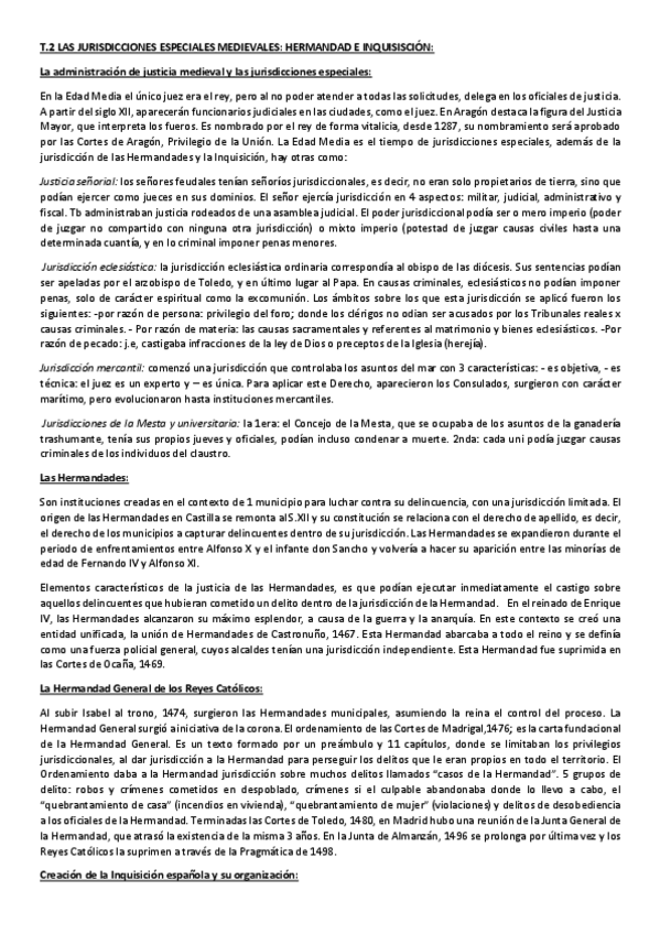 Miniatura del documento T2-HISTORIA.pdf