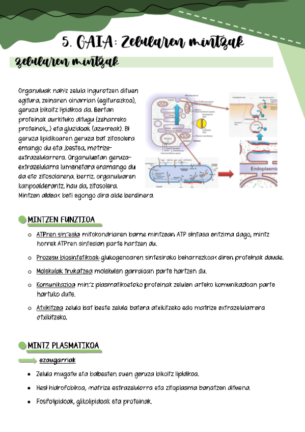 Miniatura del documento Gaia-5.pdf