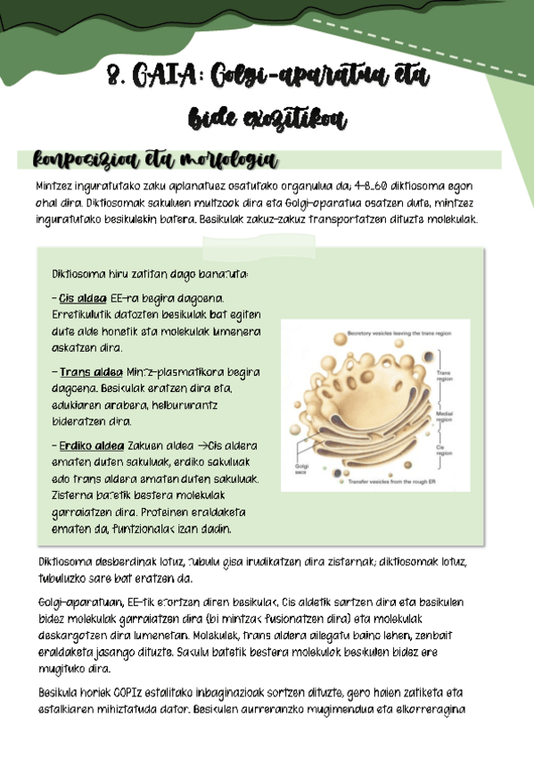 Miniatura del documento Gaia-8-Golgi-aparatua.pdf