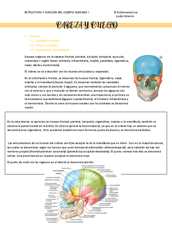 Miniatura del documento CABEZA-Y-CUELLO.pdf