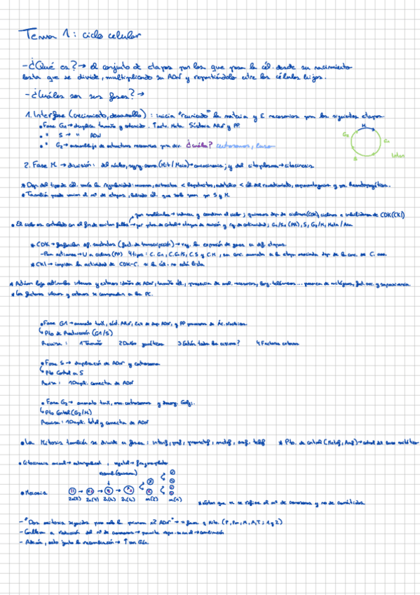 Miniatura del documento EsquemaT1.pdf