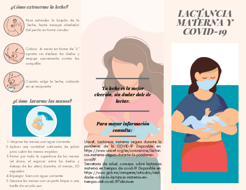 Miniatura del documento Lactancia-materna-y-COVID-19-.pdf