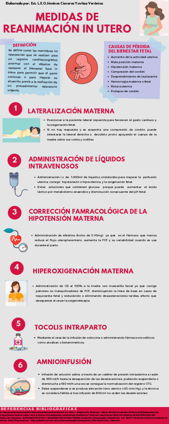 Miniatura del documento MEDIDAS-DE-REANIMACION-IN-UTERO.pdf