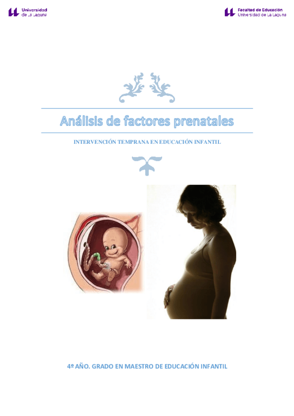Miniatura del documento Analisis-de-factores-prenatales.pdf