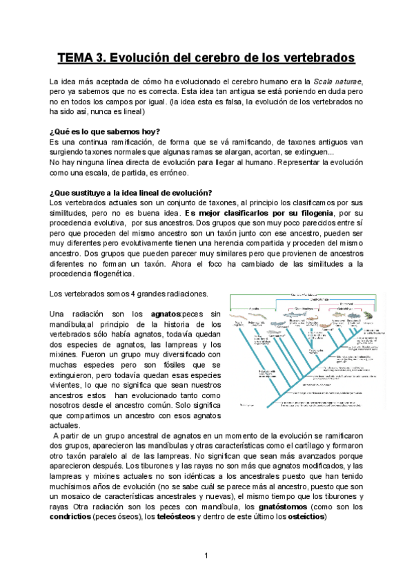 Miniatura del documento TEMA-3-ECC.pdf