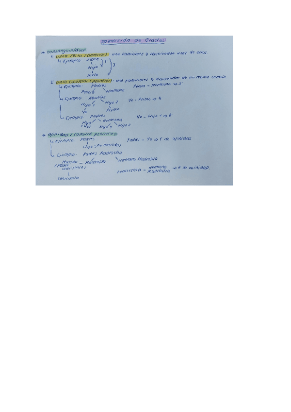 Miniatura del documento MEDICION-GRADOS-CONSANGUINIDAD-Y-AFINIDAD.pdf