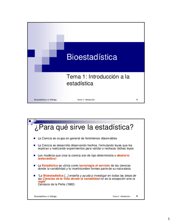 Miniatura del documento bioestadistica-apuntes.pdf