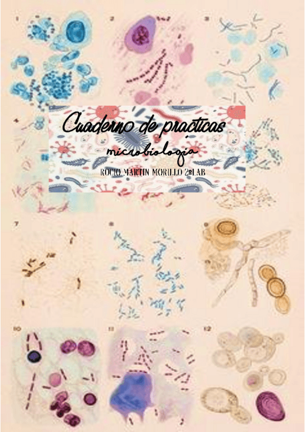 Miniatura del documento cuaderno-de-practica-microbiologia.pdf