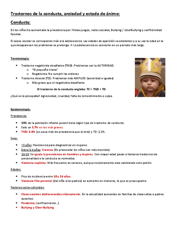Miniatura del documento 5-y-6-Trastornos-de-la-conducta-ansiedad-y-estado-de-animo.pdf