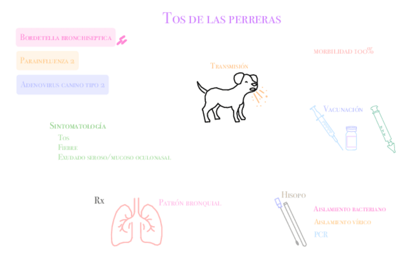 Miniatura del documento tos.pdf