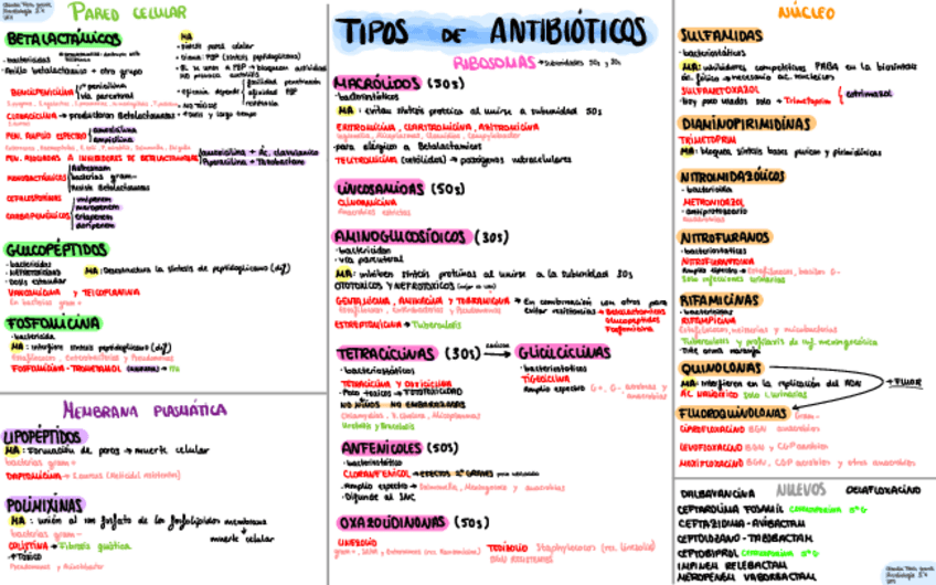 Miniatura del documento Esquema-antibioticos.pdf