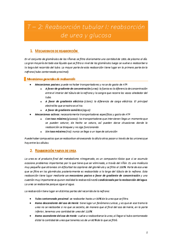 Miniatura del documento T-2-Renal.pdf