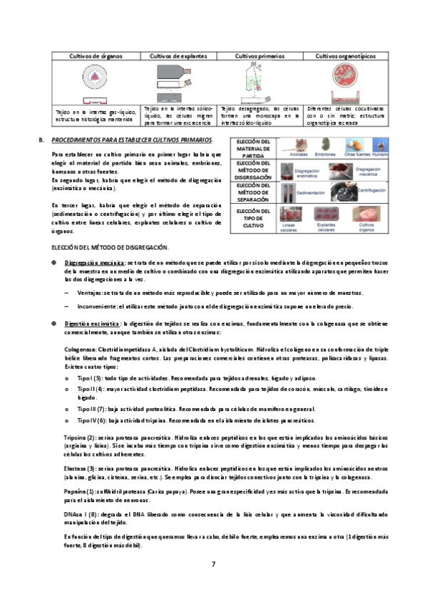 Miniatura del documento Tema-3B-Procedimientos-para-establecer-cultivos-primarios.pdf