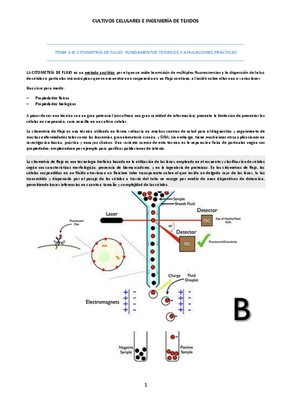 Miniatura del documento TEMA-1B-Citometria-de-flujo.pdf