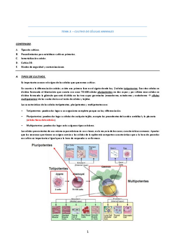 Miniatura del documento Tema-3A-Tipo-de-cultivos.pdf