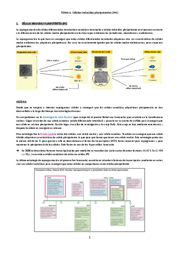 Miniatura del documento TEMA-4C-Ingenieria-de-tejidos.pdf