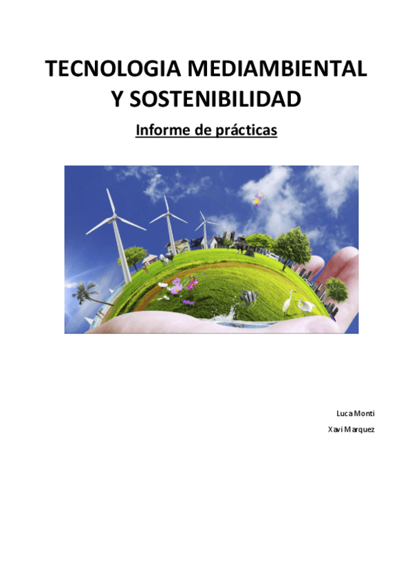Miniatura del documento INFORME-TMS.pdf