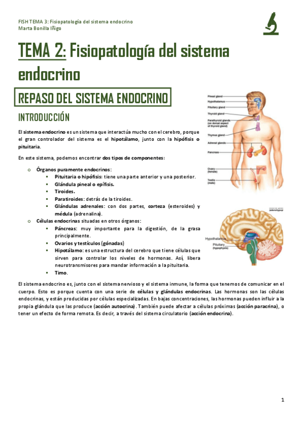 Miniatura del documento FISH-TEMA-3-FISIOPATOLOGIA-DEL-SISTEMA-ENDOCRINO.pdf