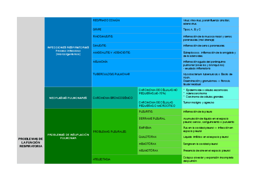 Miniatura del documento MartiCantonIruneEsquema-Tema-10-Fisiopatologia.pdf